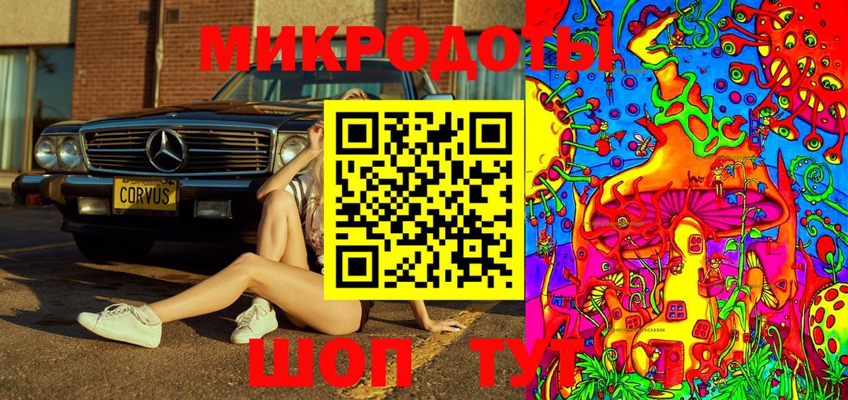 Балтийск  наркошоп  Вход с VPN  Псилоцибиновые грибы Magic Shrooms 