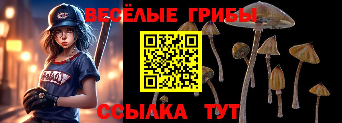 Псилоцибиновые грибы мицелий Балтийск